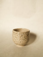 echo square cup